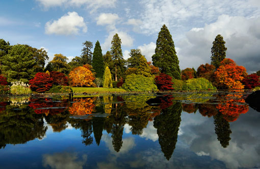 Lá cây chuyển màu khi Thu sang, phản chiếu xuống mặt hồ ở công viên Sheffield Park Garden, Anh, 17/10/2012.