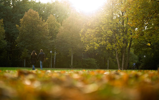 Một cặp tình nhân đi dạo gần sở thú ở Berlin, Đức, 18/10/2012.