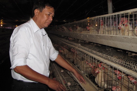 Trang trại nuôi gà của ông Cường xã Hố Nai 3 (huyện Trảng Bom)