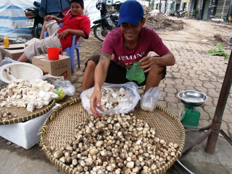 Nấm rơm bán lẻ “sốt” giá do nguồn cung thiếu. Ảnh: B.Nguyên