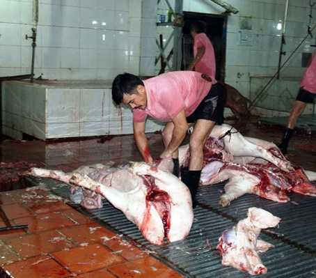 Lò mổ hoạt động không đảm bảo vệ sinh