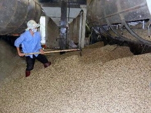 Xuất khẩu nông, lâm, thủy sản ước đạt 25 tỷ USD