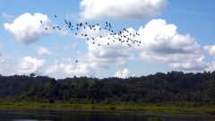 The Ramsar area, which is the home to hundreds of fish and bird species and has been recognized by UNESCO as the world’s Wetland Biosphere Reserve, may be damaged by the two controversial hydro projects