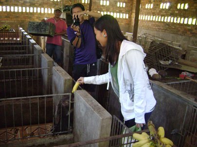 Two tourists take photos and feed a porcupine