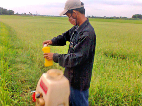 Dịch bệnh hành cây lúa