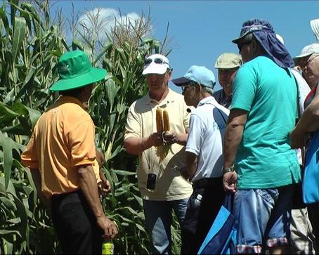 Russian experts visit cornfields in Xuan Loc