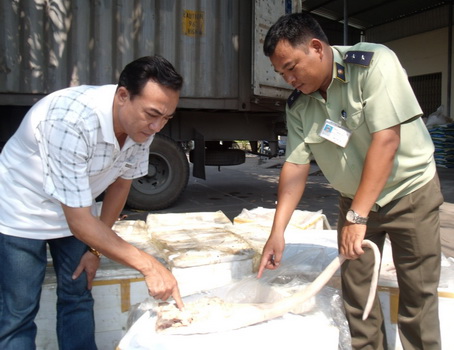 800 kg đuôi bò không rõ nguồn gốc đã biến màu, bốc mùi