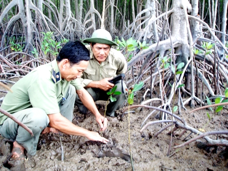 Phút thảnh thơi cùng đồng đội tuần rừng.