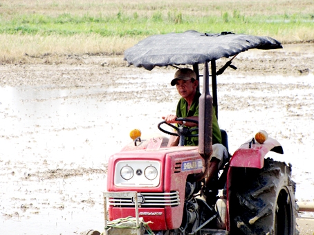 Nông dân xã Tân Bình (huyện Vĩnh Cửu) đang làm đất chuẩn bị trồng lúa.          Ảnh: H.Giang