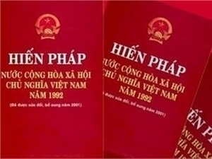 Thoughtful comments on Constitution amendments