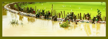 Tác phẩm giành giải Nhì: "Giúp dân cứu lúa" của tác giả: Hồng Thái (tỉnh Tiền Giang)