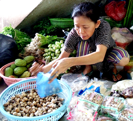Nấm, rau tăng giá