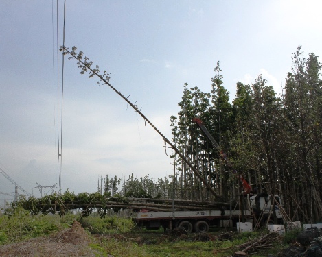 Đã xác định được các đối tượng chính xâm hại đường dây 500KV làm mất điện toàn miền Nam