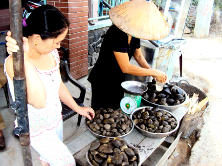 Về xứ bắt vọp