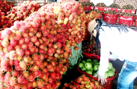 Rộ mùa, chôm chôm được bày bán khắp nơi. Ảnh chụp tại Trạm dừng chân Lê Hoàng (TX.Long Khánh).            