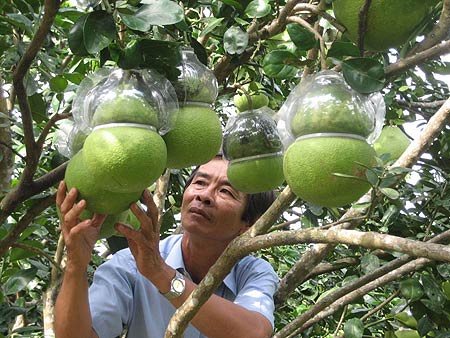 Ảnh minh họa