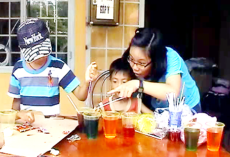 Overseas Vietnamese students do volunteer work in Dinh Quan