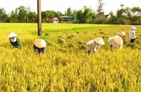 Nearly VND2 bil raised to help poor farmers