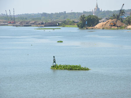Pollution worsens in Dong Nai River