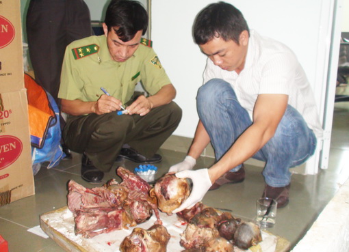Wildlife traffickers to be prosecuted