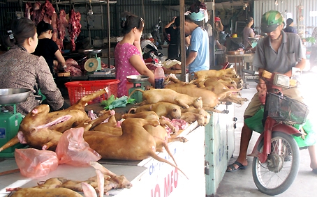 Thịt chó được bày bán tại chợ Tân Hiệp (TP. Biên Hòa).