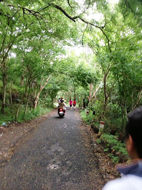 People can walk or drive up to the peak of Nho Mountain on a shaded road 