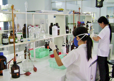 Để phụ nữ cống hiến tốt cho nghiên cứu khoa học, cần lắm sự chia sẻ của người chồng. Ảnh: P. Liễu