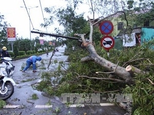 Typhoon Wutip causes heavy losses in central provinces.