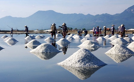 A pinch of: A salt field in Sa Huynh.