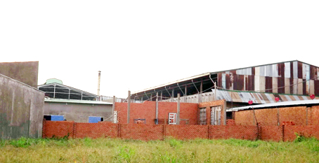 Bài 1: Mua, bán đất rừng tràn lan