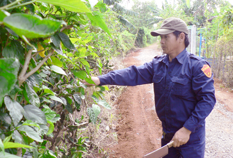 Tự nguyện làm những việc có ích