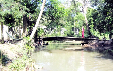 Một đoạn suối Nước Trong chảy qua xã An Phước, huyện Long Thành.