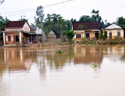 Quậy