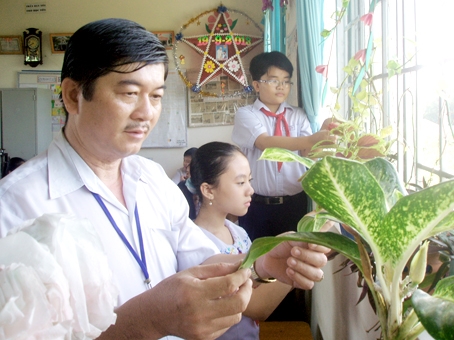 Thầy Ngô Quốc Toàn cùng các trò nhỏ chăm sóc cây cảnh lúc ra chơi.