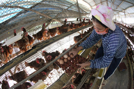 Làm thuê cũng khó