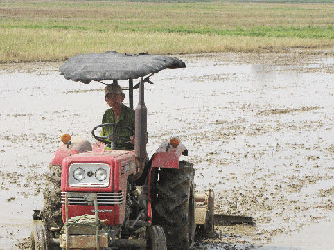  Khâu thu hoạch mía của Đồng Nai cũng như cả nước cơ giới hóa rất ít.