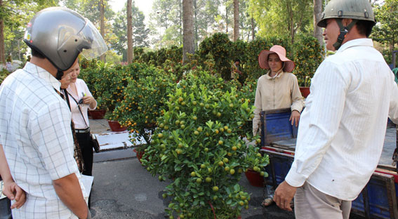 Khách mua hoa sớm