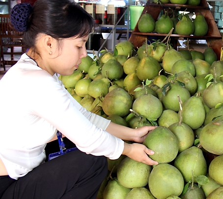 Giá bưởi Tân Triều tăng đột biến. 