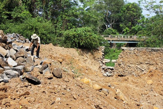 Bạn đọc đồng hành với Báo Đồng Nai