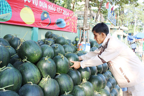 Dưa chưng tăng giá gần gấp đôi so với tết năm ngoái.  Trong ảnh: Dưa bán trên đường Cách Mạng Tháng Tám, TP. Biên Hòa