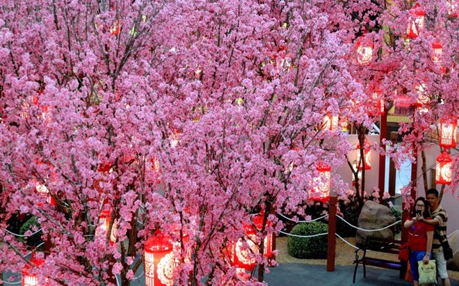 9 / 12  Một cặp đôi chụp ảnh trước một cây mận nở đầy hoa dùng để trang trí tại in Kuala Lumpur, Malaysia. (Nguồn: AP)