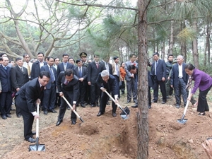 Party leader launches New Year with tree planting