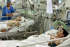 Over 250 die in traffic accidents during Tet