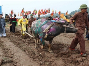 Vice President attends ploughing festival in Ha Nam