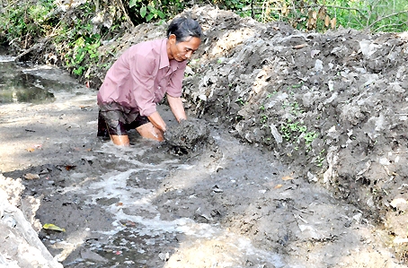 Chất thải lấp đầy suối.