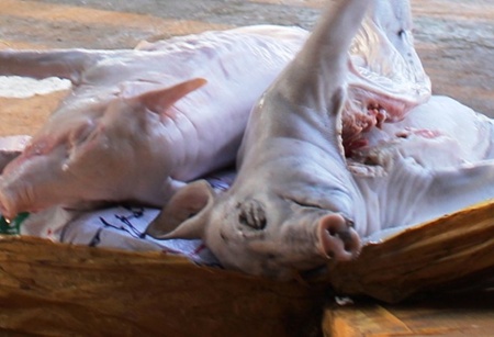The meat was recovered on a coach en route to HCM City.