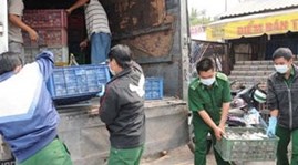 Bird flu hits 21 provinces nationwide