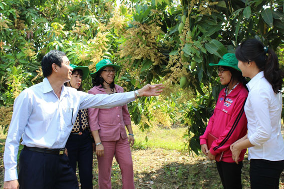 Đoàn giám sát HĐND tỉnh giám sát việc thực hiện cây trồng chủ lực tại huyện Vĩnh Cửu.