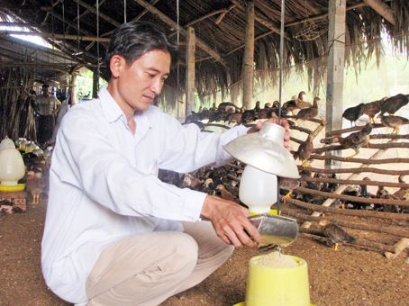 Người dân xã Bình Sơn (huyện Long Thành) đang lo lắng không biết sẽ được tái định cư ra sao khi thực hiện dự án sân bay Long Thành.