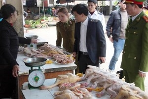 Bird flu outbreak reaches 24th Vietnamese locality
